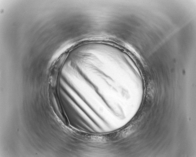 X0000087691456200705251657