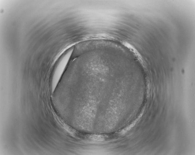 X0000087691457200705251657