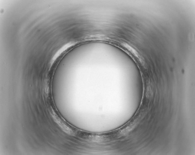 X0000087691458200705251656