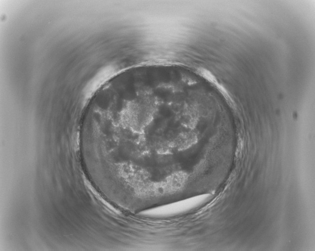 X0000087691459200705251656