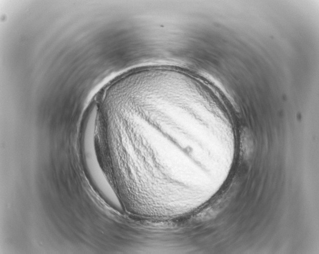 X0000087691460200705251656