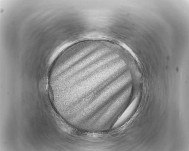 X0000087691461200705251656