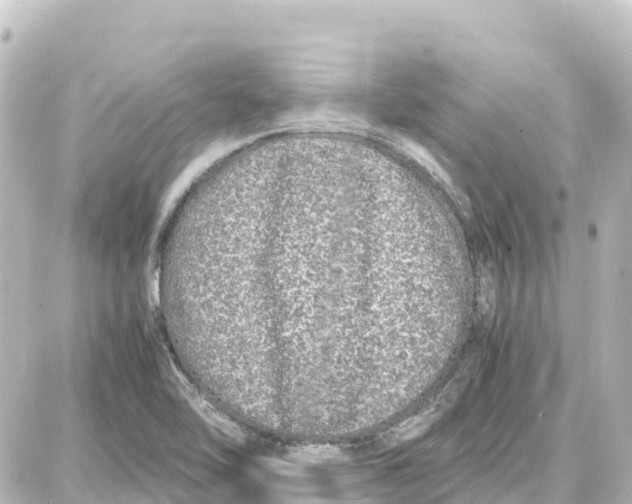 X0000087691462200705251656