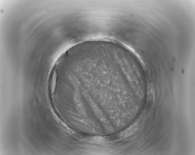 X0000087691463200705251656