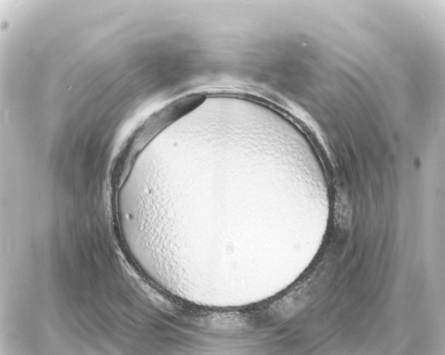 X0000087691464200705251656