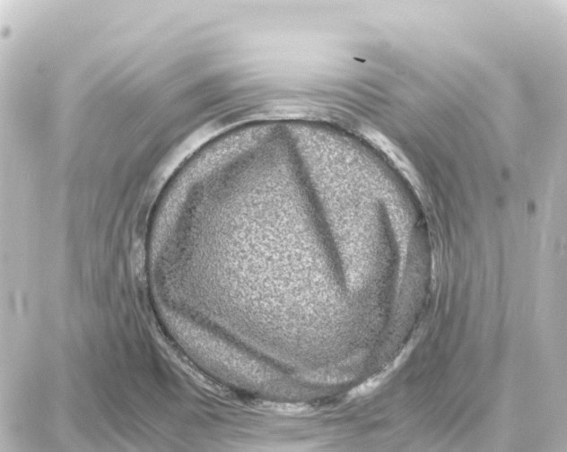 X0000087691465200705251656