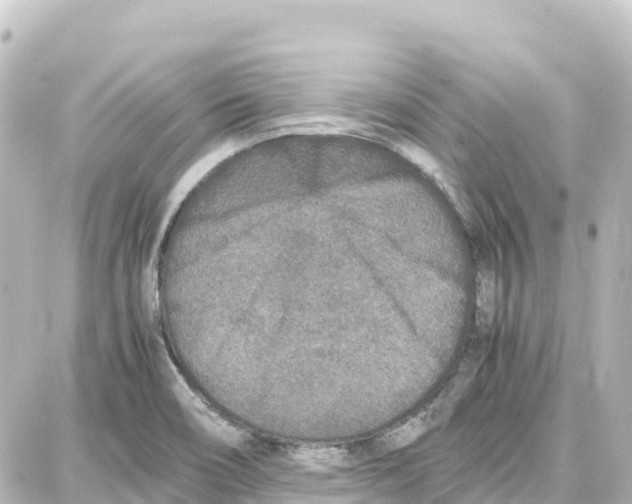 X0000087691466200705251656