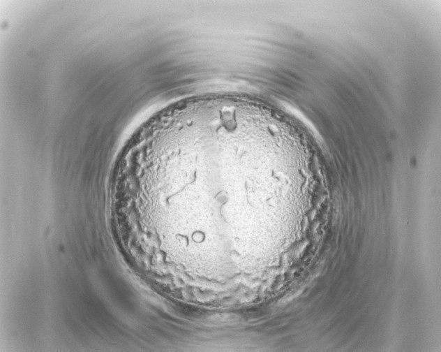 X0000087691467200705251656