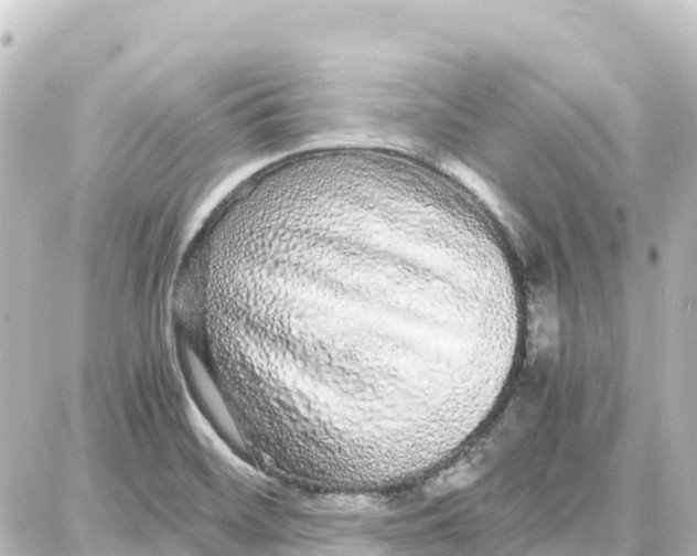 X0000087691468200705251656