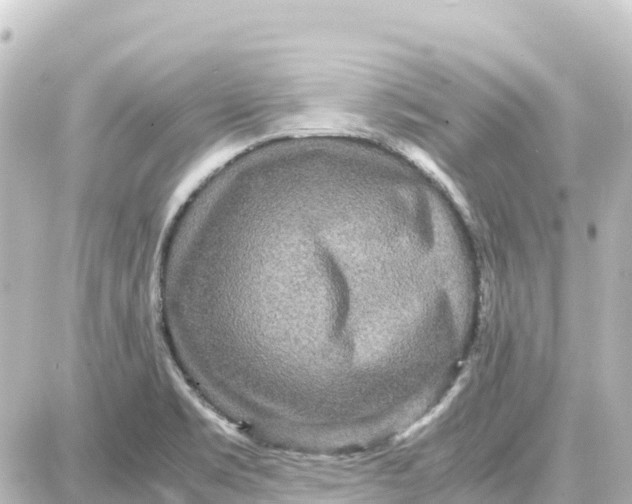 X0000087691469200705251656