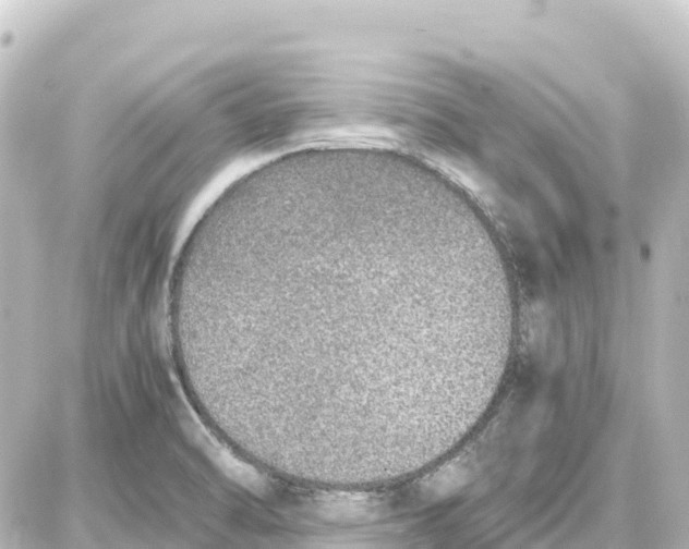 X0000087691470200705251656