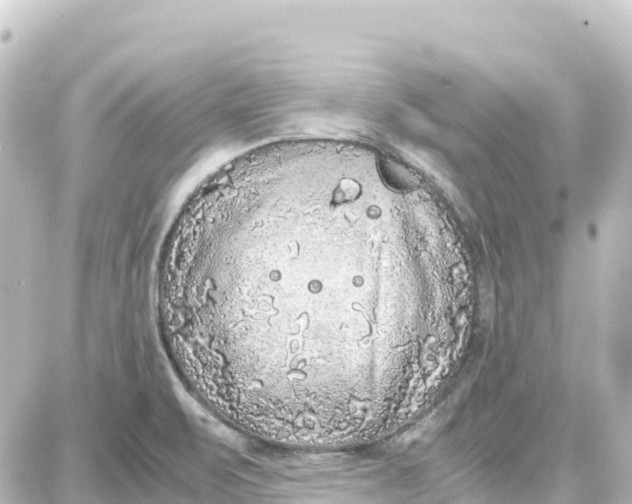 X0000087691471200705251656