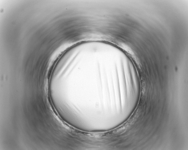 X0000087691472200705251656