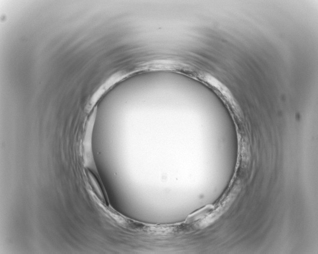 X0000087691473200705251656