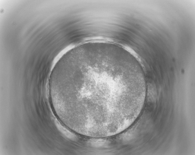 X0000087691474200705251656