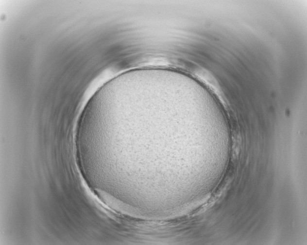 X0000087691475200705251656