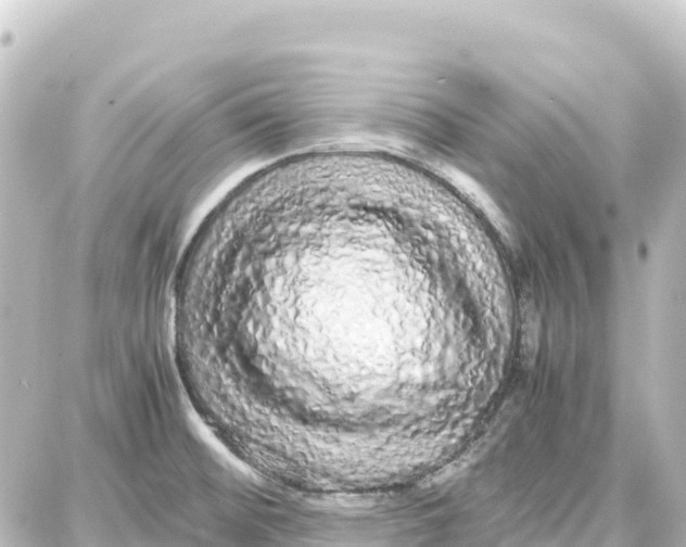 X0000087691476200705251656