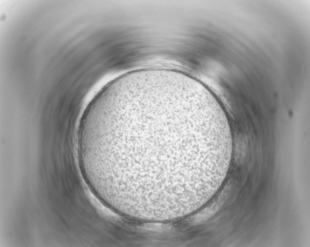 X0000087691478200705251656