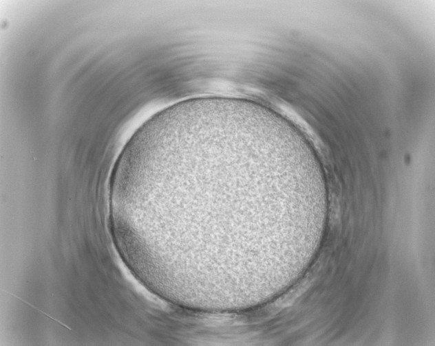 X0000087691479200705251656