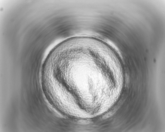 X0000087691480200705251656