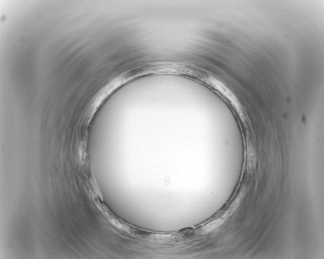 X0000087691481200705251656