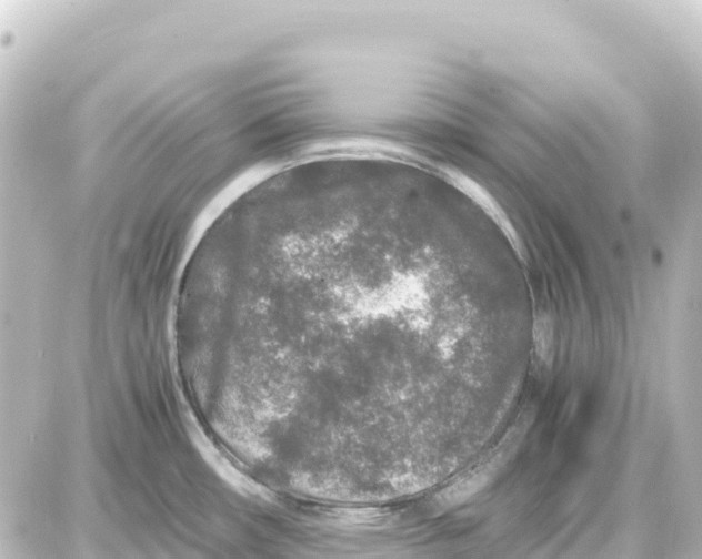 X0000087691482200705251656