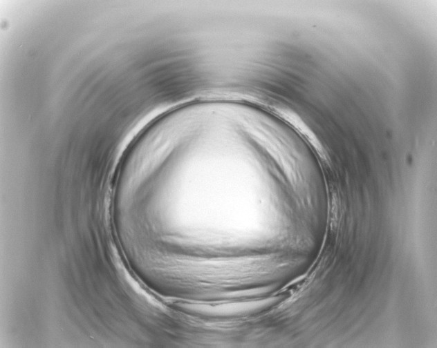 X0000087691484200705251656