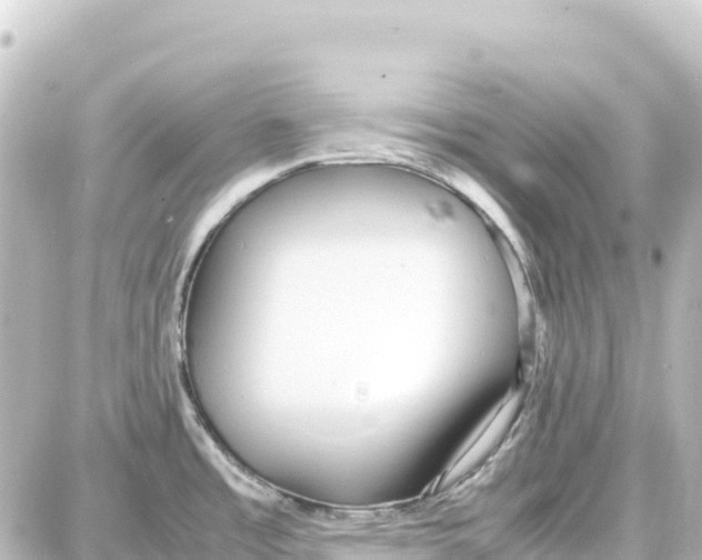 X0000087691485200705251656