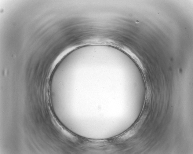 X0000087691486200705251656