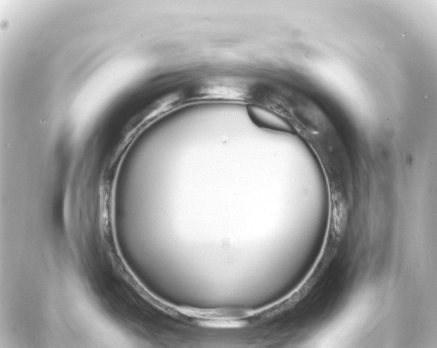 X0000087691487200705251656