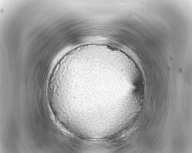 X0000087691488200705251656