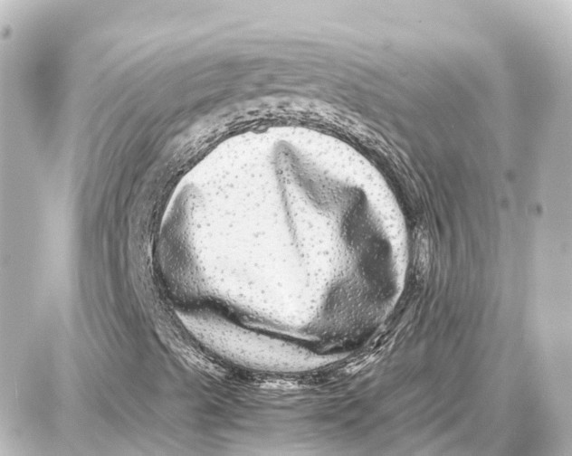 X0000087691489200705251655