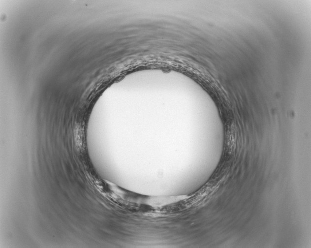 X0000087691490200705251655