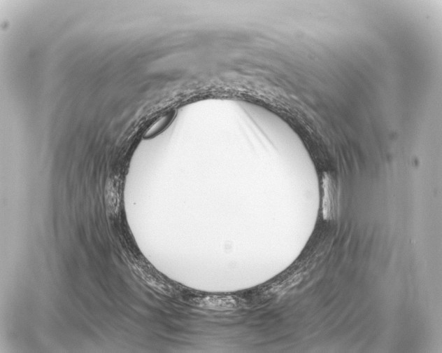 X0000087691491200705251655