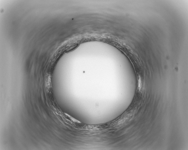 X0000087691492200705251655