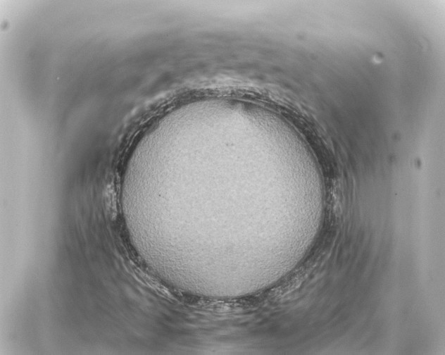 X0000087691493200705251655