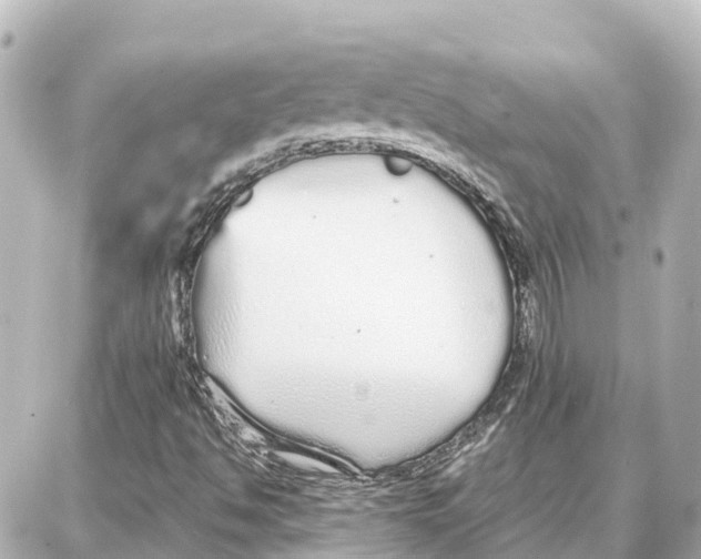 X0000087691494200705251655