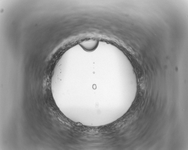 X0000087691495200705251655