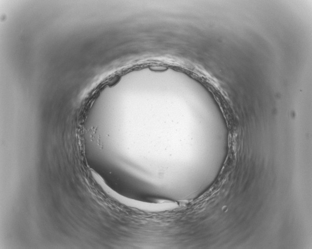 X0000087691496200705251655