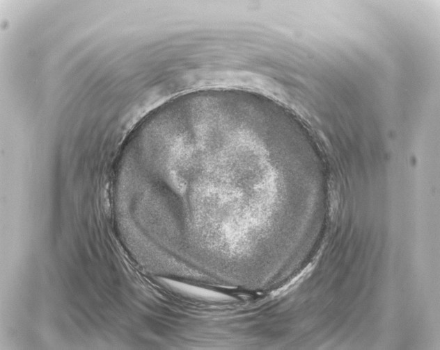 X0000087691497200705251655