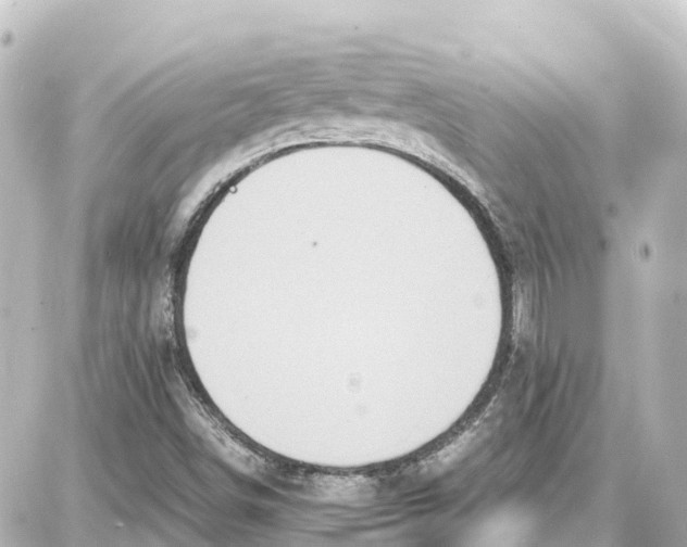 X0000087691498200705251655