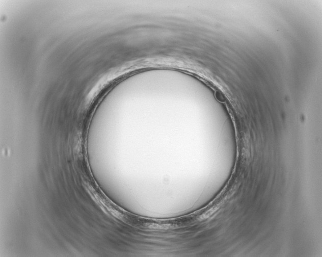 X0000087691499200705251655