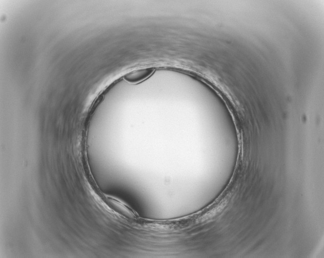 X0000087691500200705251655