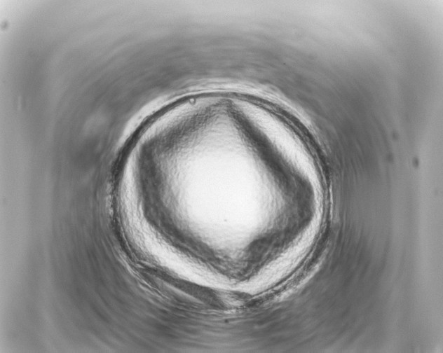 X0000087691501200705251655