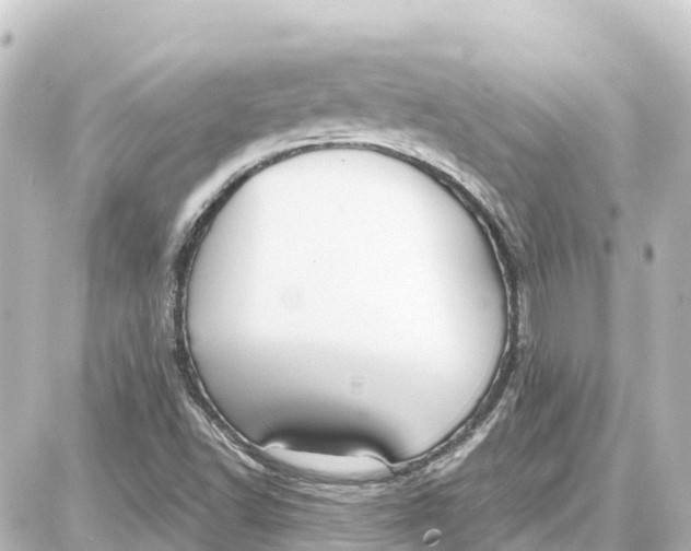 X0000087691502200705251655