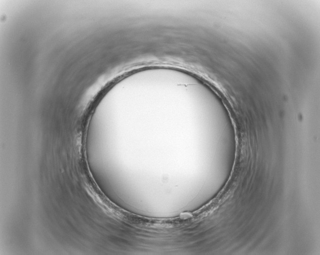 X0000087691503200705251655