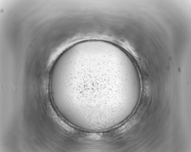 X0000087691504200705251655