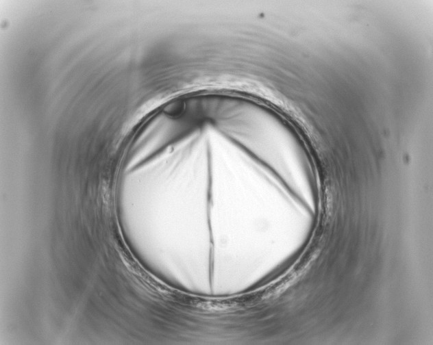 X0000087691505200705251655