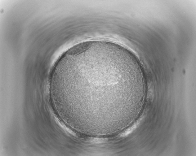 X0000087691506200705251656