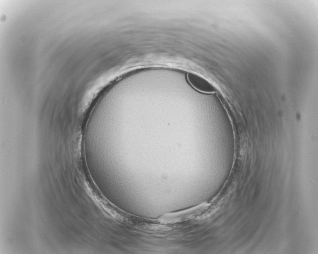 X0000087691507200705251656